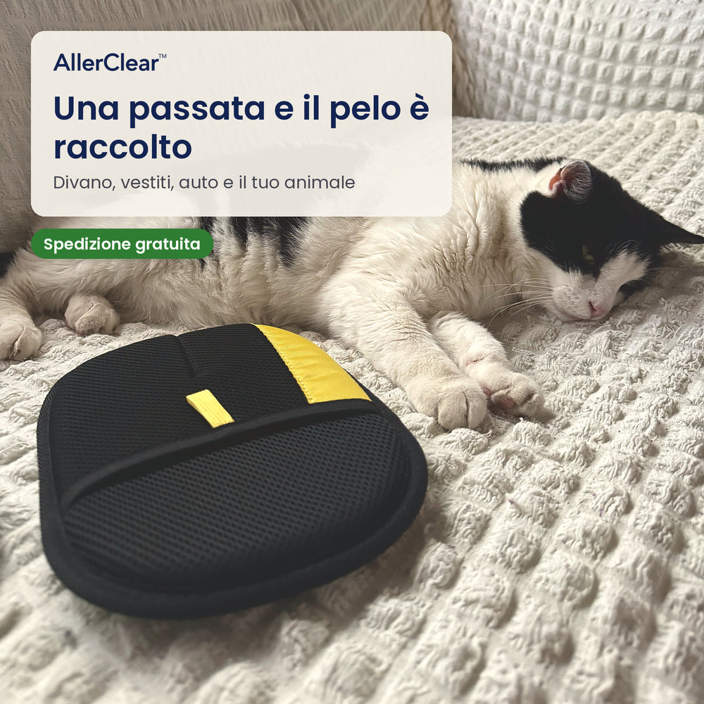 Guanto anti-pelo AllerClear su un divano con un gatto: una passata e il pelo è raccolto (bozza)