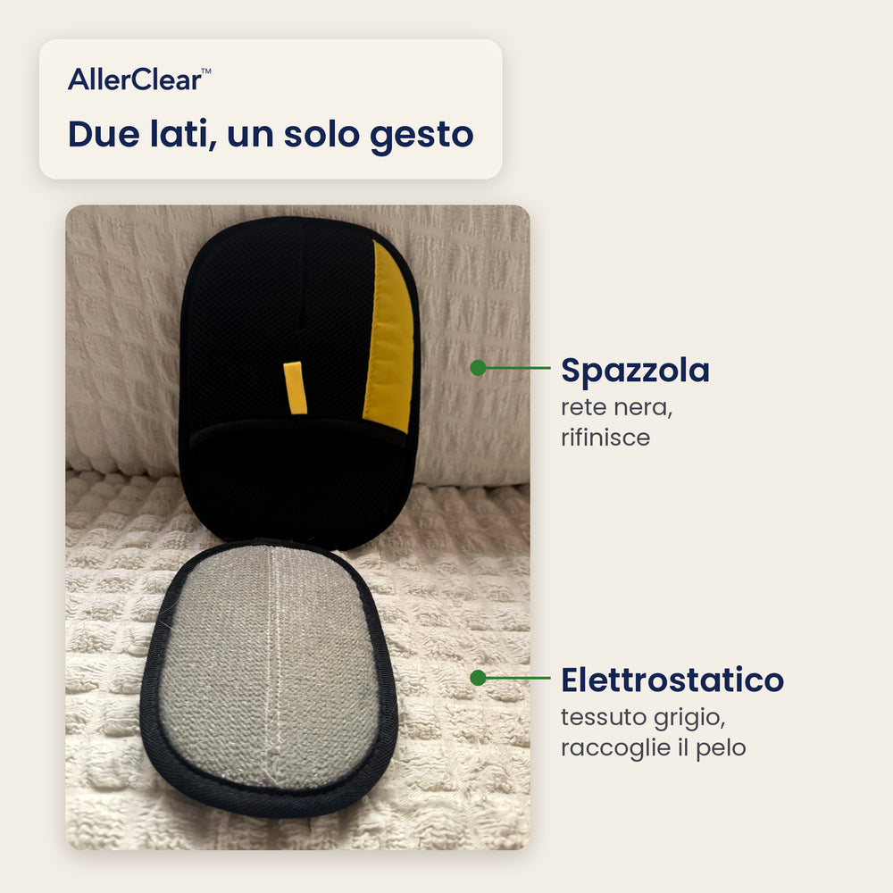 I due lati del guanto: spazzola nera e superficie elettrostatica grigia (bozza)