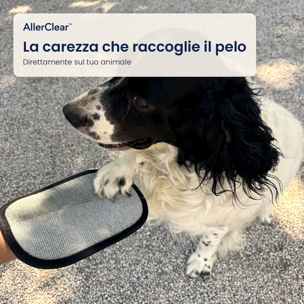 Il guanto usato direttamente sul cane come una carezza (bozza)